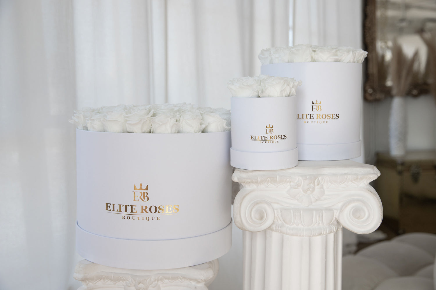 The Classic collection