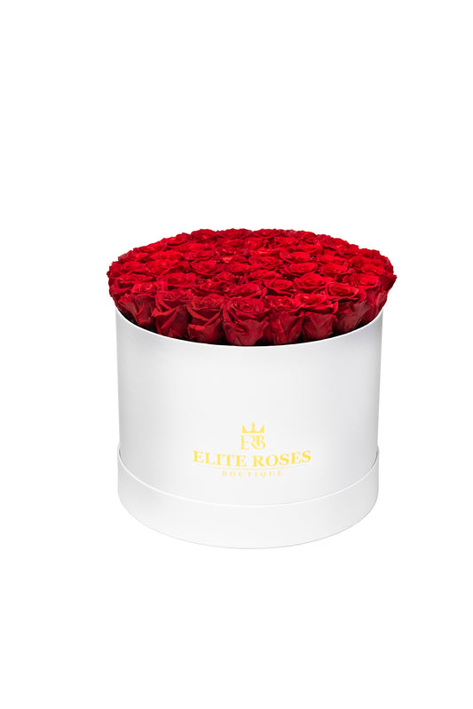 Red roses in a large round box