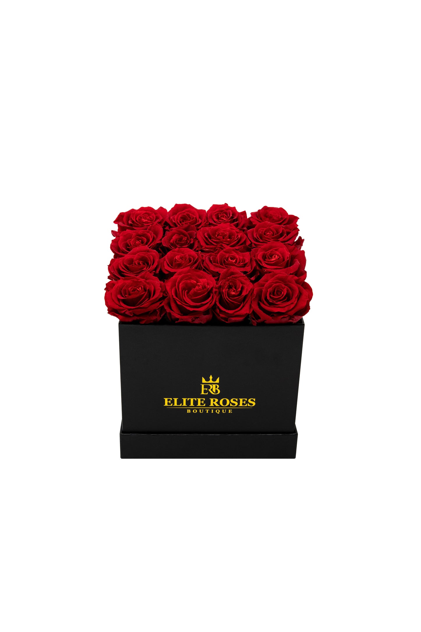 Red roses in a medium square box