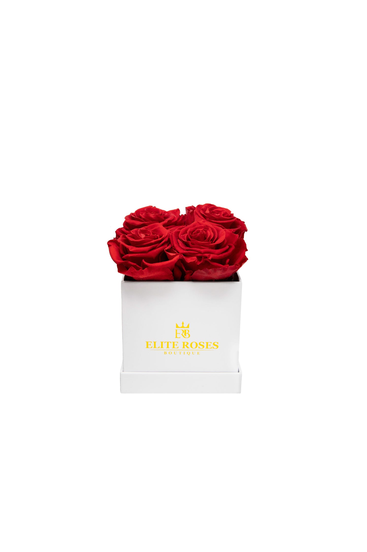 Red roses in a small square box