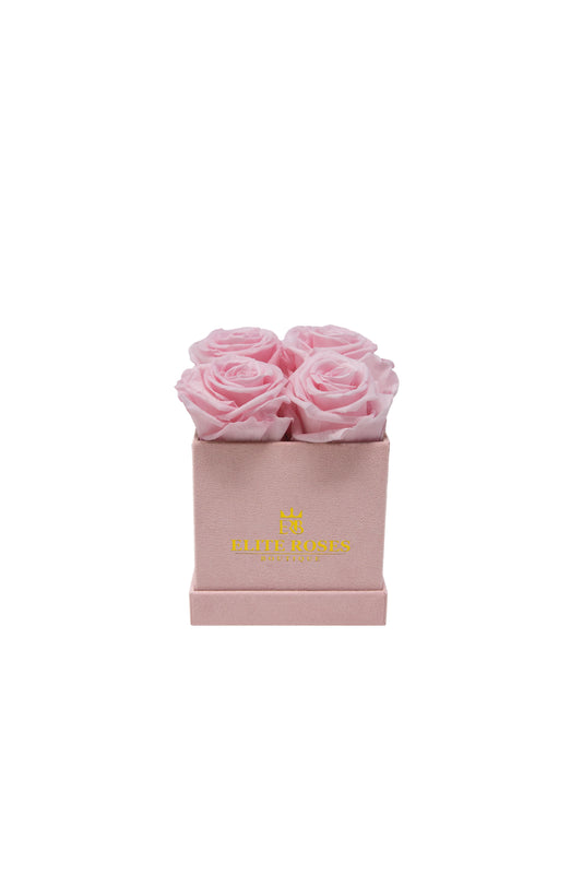 Pink roses in a small square box