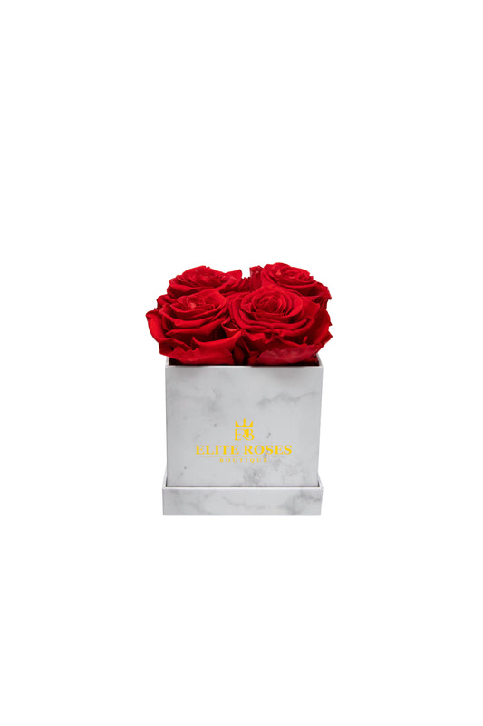 Red roses in a small square box
