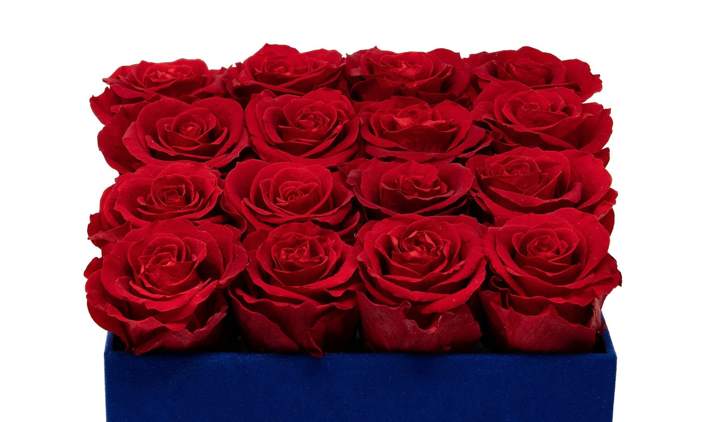 Dark red roses in a medium square box
