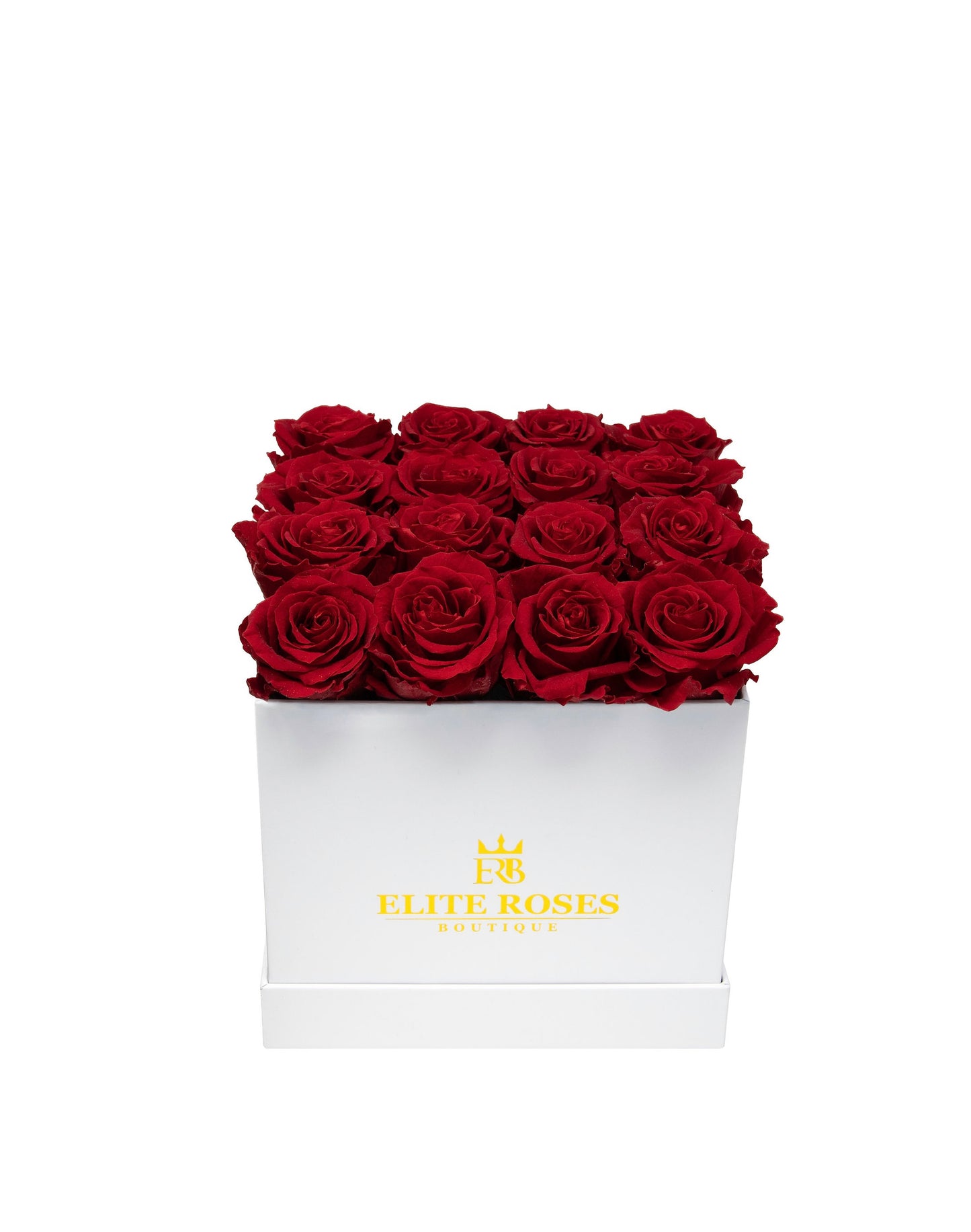Red roses in a medium square box