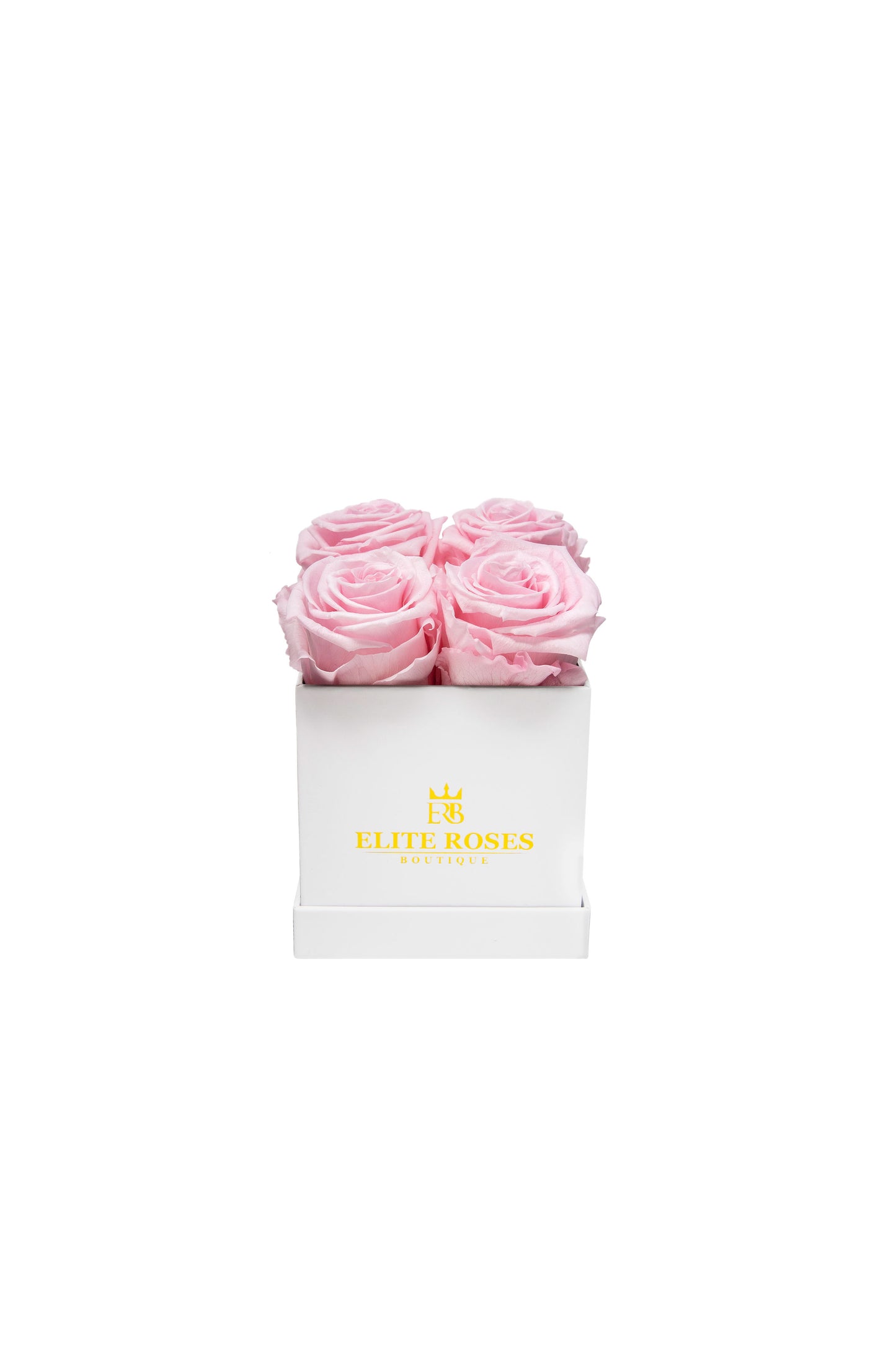 Pink roses in a small square box